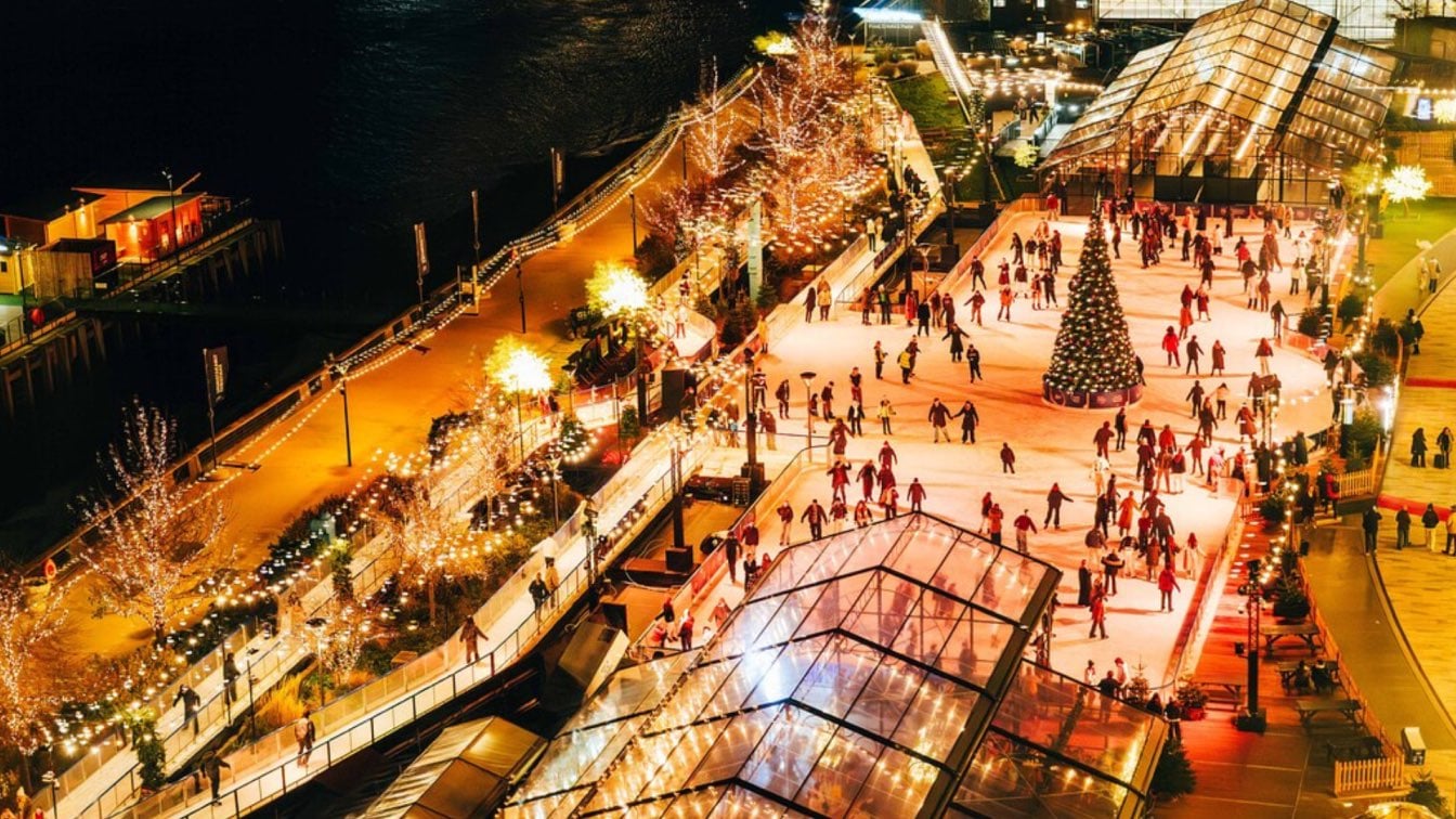 Ariel image of the ice rink and skate trail
